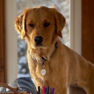 Meet your Posher, Sandi